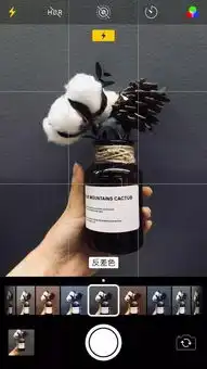 抖音最火拍摄教程全都在这了