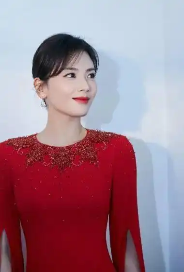 刘涛高清美图,越来越有魅力了