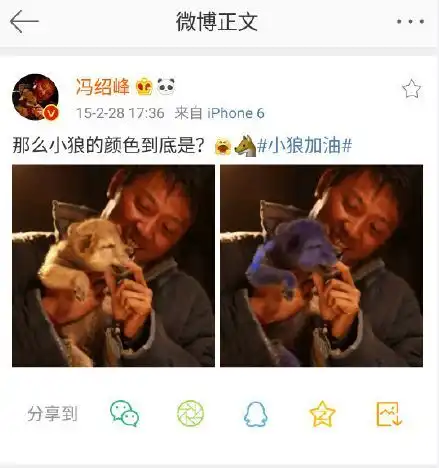 冯绍峰换头像,赵丽颖冯绍峰牵手遛弯被偶遇,小腹微隆疑似坐实怀男孩传闻