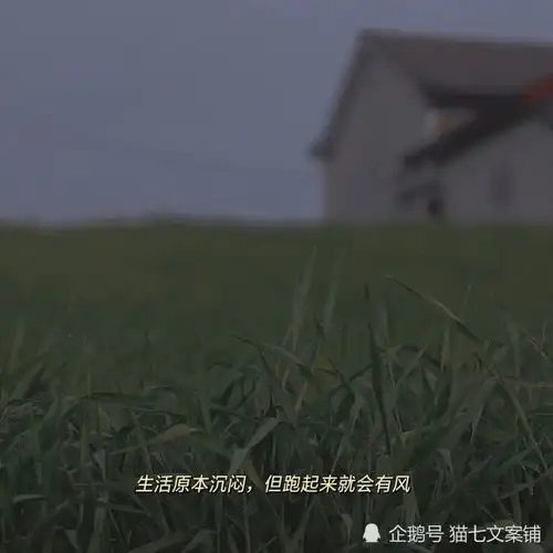 今日文案网抑云文案