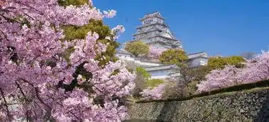 5000畅享日本精品8日游