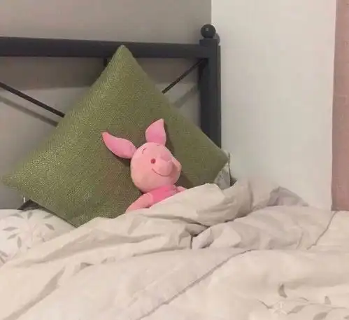 晚安每天演好一个情绪稳定的成年人