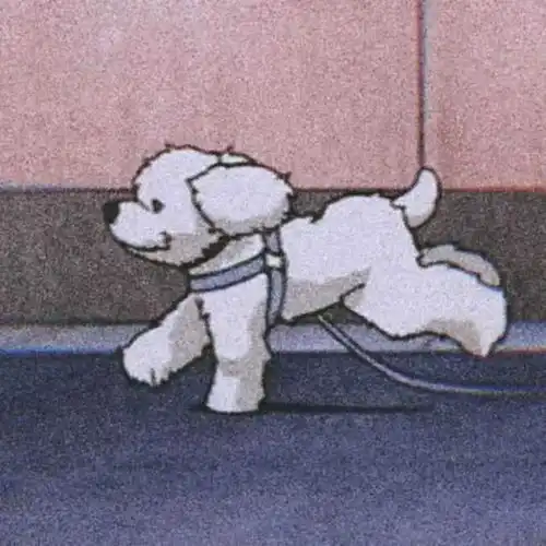 微信头像沙雕头像