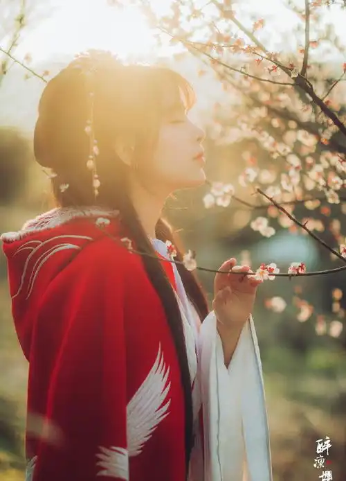 红色大美的崛起现象级南红出山纪二