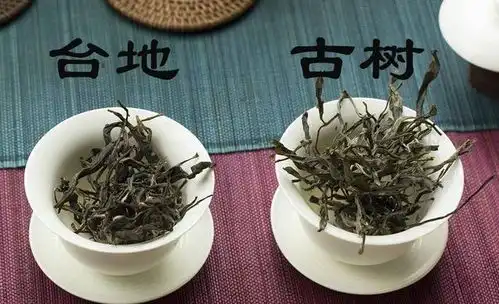 普洱茶一种独特的茶叶分类还是绿茶的替代品