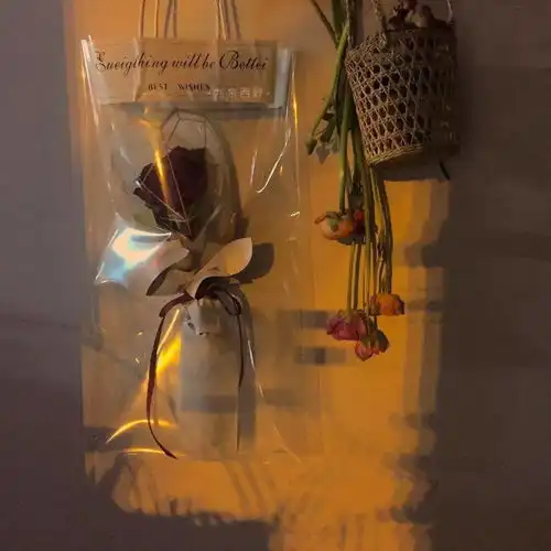 文案耐人寻味的动漫台词