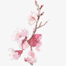 粉色的桃花手绘鲜花图片素材其他格式下载动漫人物大全