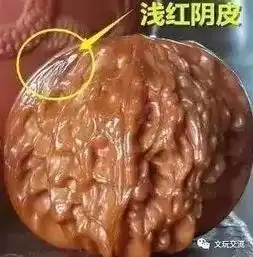 文玩核桃出油是正常现象么别被无知给骗了搜狐文化搜狐网