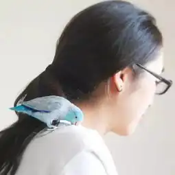 一只带仙气的鹦鹉,这颜值简直到了一个看不到的高度