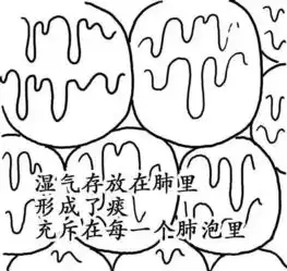 漫画版湿气是怎样形成的,一图秒懂