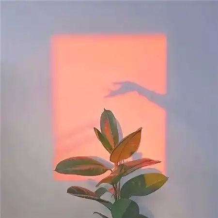 ins治愈系好看的背景图片最新版总觉得我应该成为更好的人