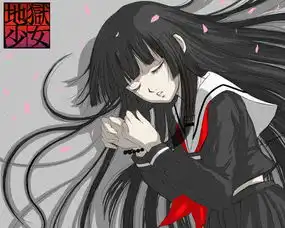 这个哪里有大图