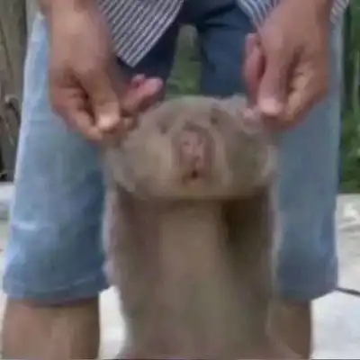 搞笑情头一对两张逗比逗比专属搞怪微信情侣头像