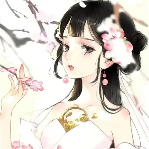 古风女生头像雪的碗里,盛的是月光