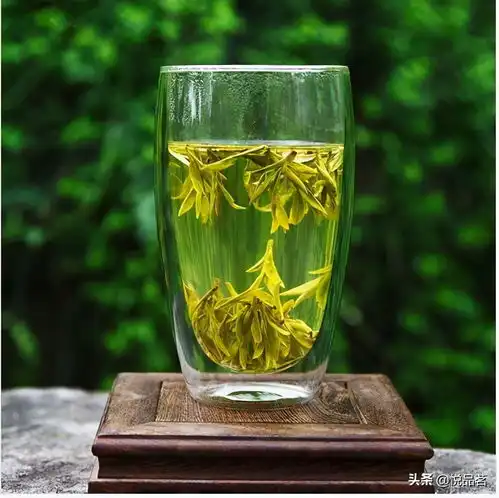 龙井茶适合用紫砂壶冲泡吗龙井茶哪些茶具泡比较好