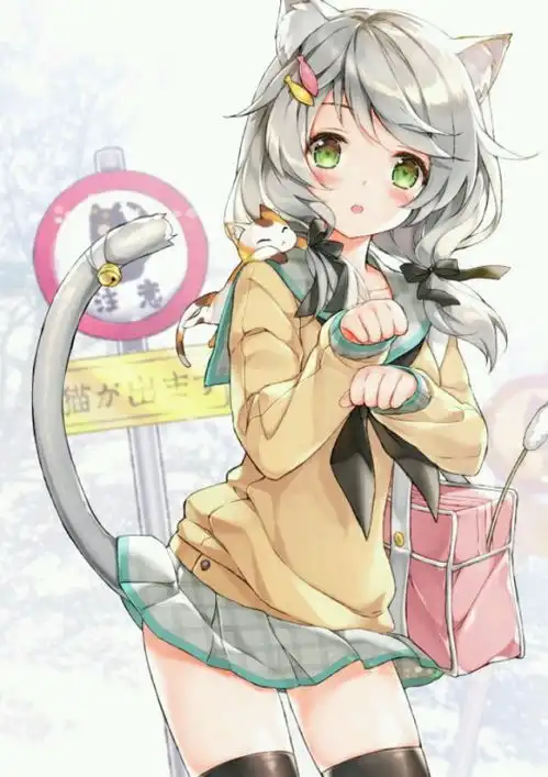 谁有可爱的动漫猫女图片