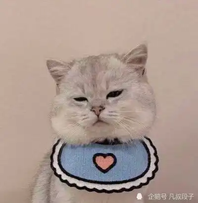 开心一刻懵了,不知道什么情况女朋友直接冲进来就打