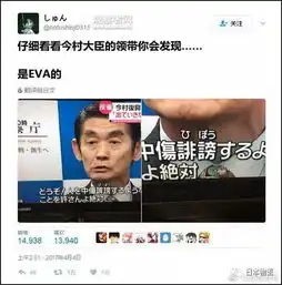 日本复兴大臣因福岛问题怒怼记者,网友却看上了他的领带丨日本奇闻