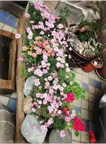 下关竟然有这么个地方你知道吗