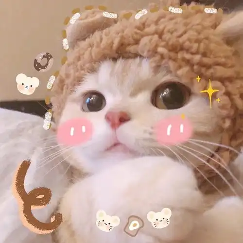 meimei
