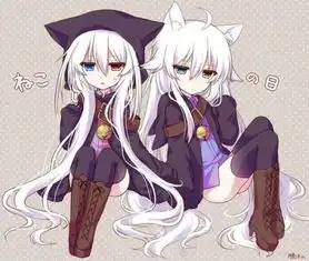白发异瞳的少女