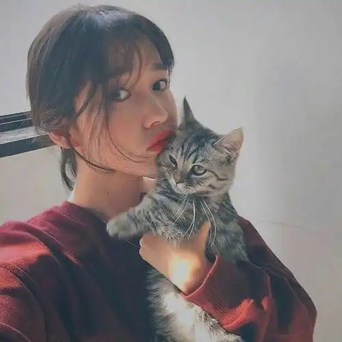 头像女生与猫真的是太美好了吧