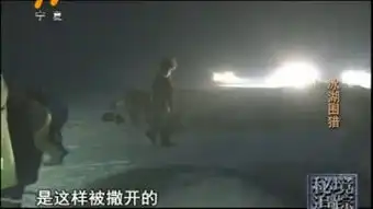 秘境追踪
