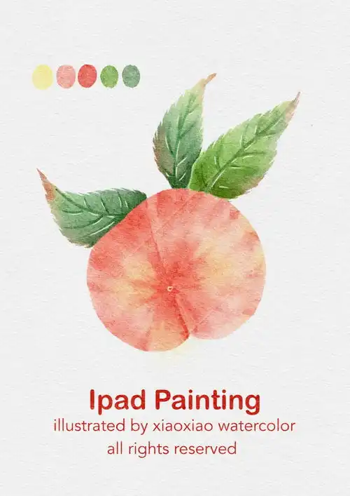 ipad水彩,一颗水蜜桃1画画的小晓来自小红书网页版手绘水果蔬菜