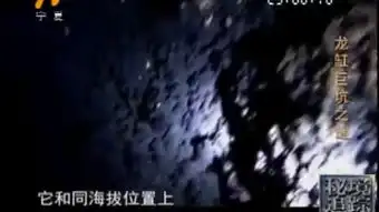 秘境追踪全集