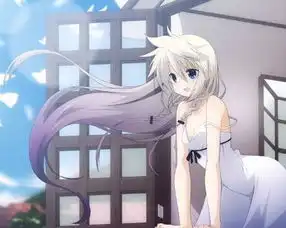 这个白头发蓝眼睛的女主是哪个动漫里的