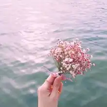 朋友圈背景图ins头像文字头像