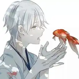 安排安排安排