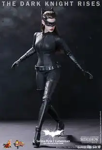 蝙蝠侠黑暗骑士崛起猫女性感手办