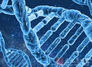美科学家绘制全基因组dna修复图谱