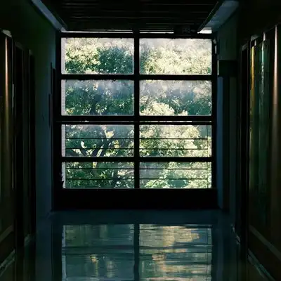 2023高清唯美窗外的风景头像