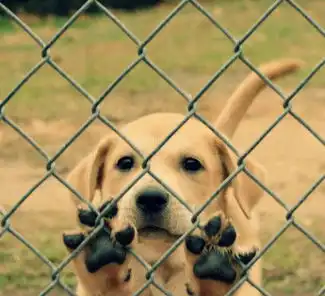 2014坚定向前每日轻松一刻1月1日晚间版