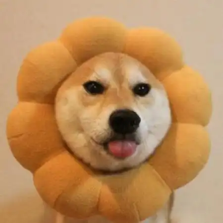 搞笑动物情侣头像一左一右呆萌搞笑的狗狗