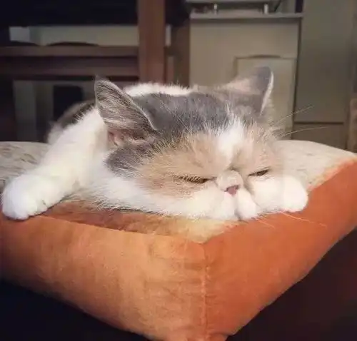 青春中医中医故事近夏日芒种至,有芒亦有不芒