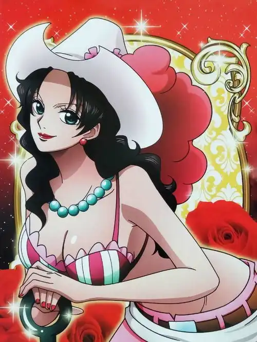 海贼王路飞全剧只称呼她为美女颜值逆天,有绝世美女之称