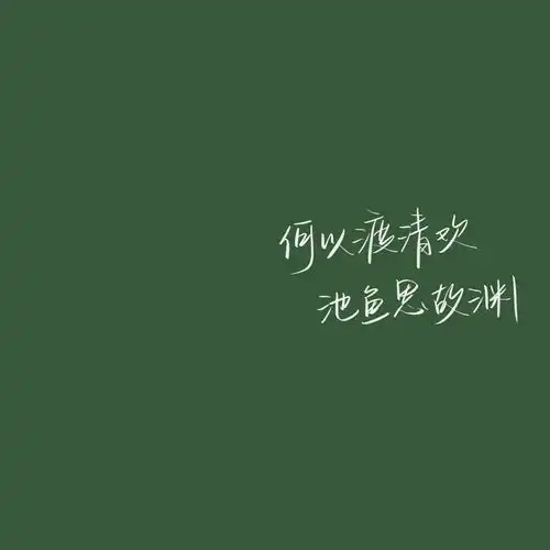 大家有没有什么致郁系的文字壁纸