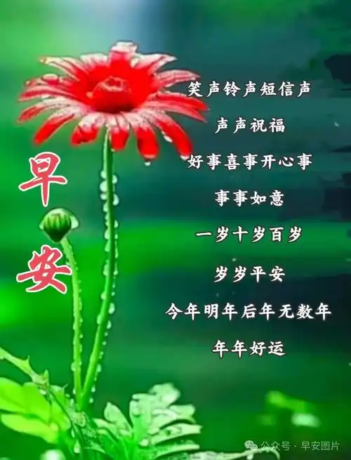 6月28日周五最新早上好祝福语图片大全精选早安问候祝福图片