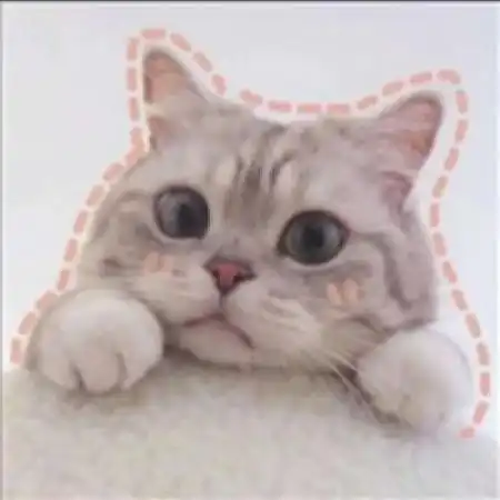 可爱小动物头像,小狗狗小猫咪送给喜欢的亲