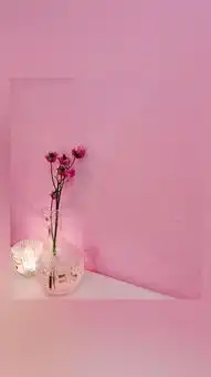 周肥肥