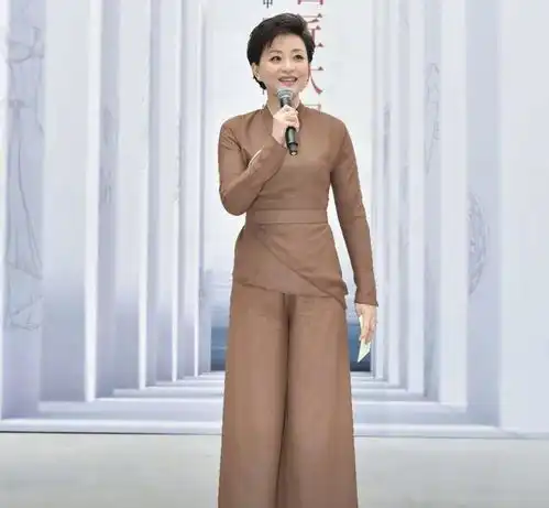 气质女神杨澜果然不一样,穿黑色拼接薄纱连衣裙,优雅又大方