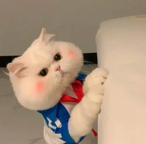 系列头像去医院检查医生一边写一边问喝酒不我一脸懵逼试探性的问今晚吗