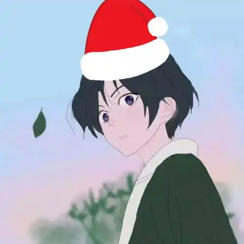一键制作圣诞帽头像,快来戴圣诞帽