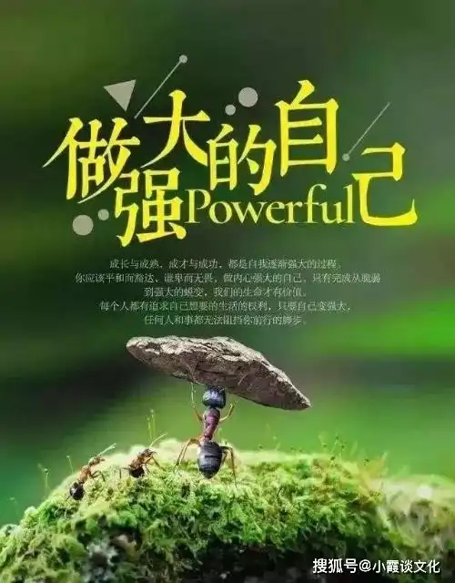 三观超正的心灵鸡汤说说,一字千金,一语惊醒梦中人