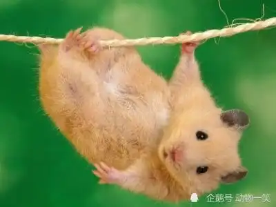 无标题