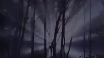 秘境追踪全集