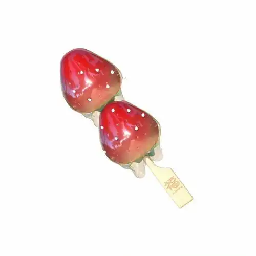白底食物头像
